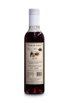Flasche mit schwarzem Johannisbeer-Sirup auf hellem Hintergrund